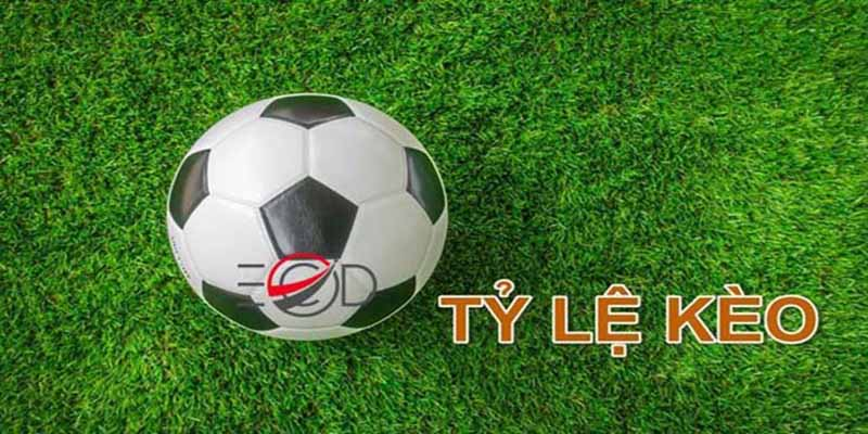 Giới thiệu về tỷ lệ cược