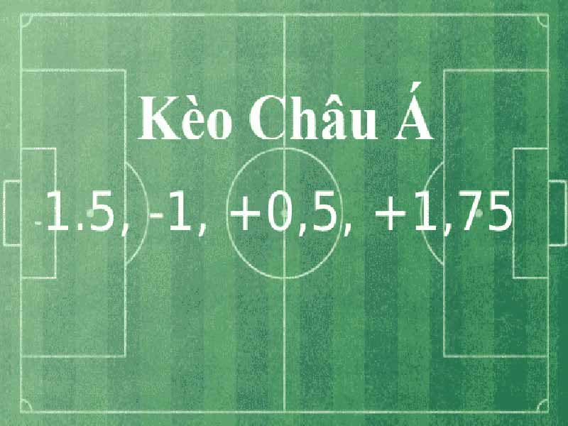 Thực hiện nghiên cứu trước khi đặt cược